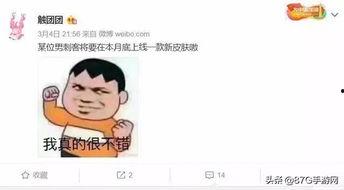 团子皮肤最新爆料,神秘元素揭示,全新视觉体验即将来袭!